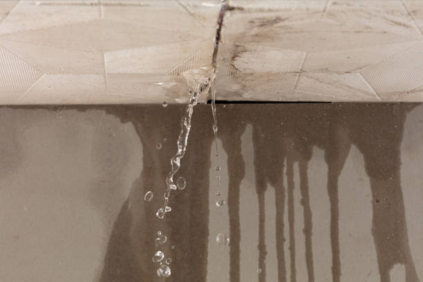Professional Structural Drying technician working in Scotts, MI